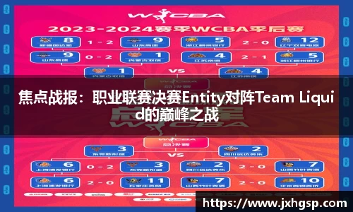 焦点战报：职业联赛决赛Entity对阵Team Liquid的巅峰之战